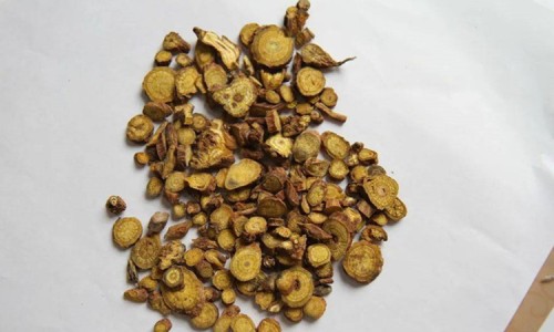 中草药赶黄草的功效与作用-中草药琥珀什么作用-专业中草药川芎的功效与作用平台-中草药石斛的功效与作用
